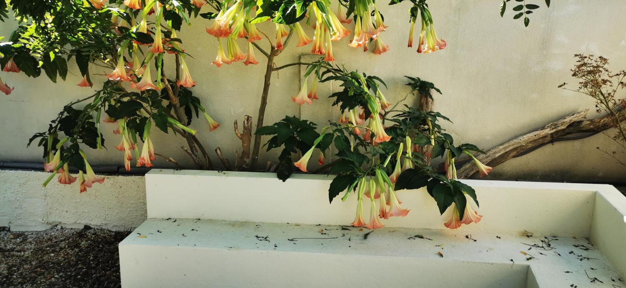 Maison Magnolia Marcorignan Esterno foto